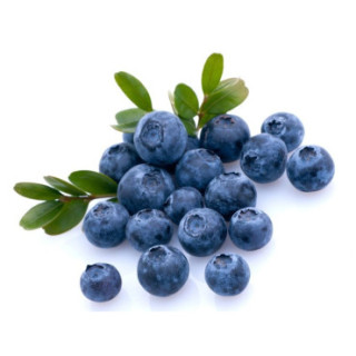 Confiture Myrtille Sauvage artisanale – Gamme Prestige