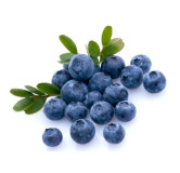 Confiture Myrtille Sauvage artisanale – Gamme Prestige