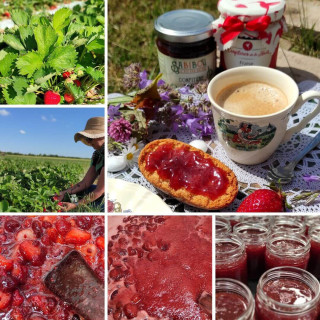 Confiture Fraise artisanale – Les Confitures de La Hoube