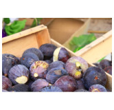 figues cagettes