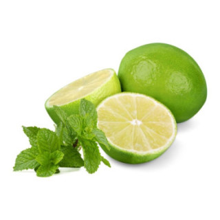 Mojito 110 gr Gelée extra
