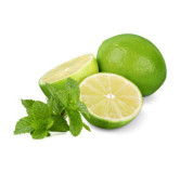 Mojito 110 gr Gelée extra