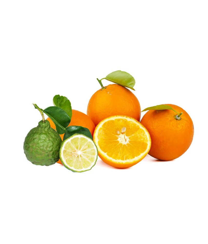 oranges bergamotes