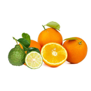 oranges bergamotes