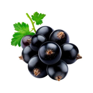 cassis