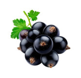 cassis