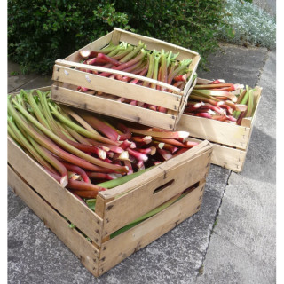 Confiture extra Rhubarbe d'Alsace 220 gr