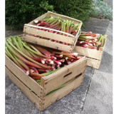 Confiture extra Rhubarbe d'Alsace 220 gr