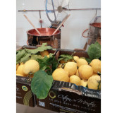 Citron de Menton 110 gr Confiture extra