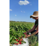 Fraise 220 gr Confiture extra