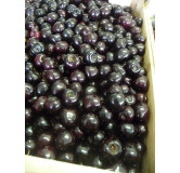 Douceur Anisée 110 gr Confiture extra