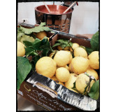 Citron de Menton 220 gr Confiture extra