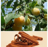Hansel et Gretel (Mirabelle de Lorraine Cannelle) 220 gr Confiture extra