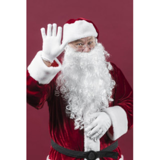 Confiture du Père Noel (Quetsche de Lorraine épices de Noël) 220 gr Confiture extra