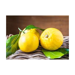 Orange Bergamote  220 gr confiture BIO