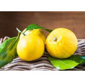 Orange Bergamote  220 gr confiture BIO