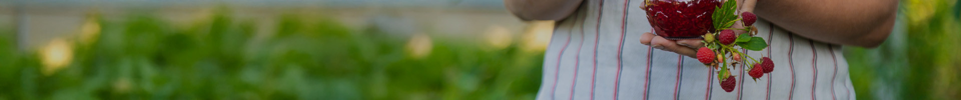 Bio